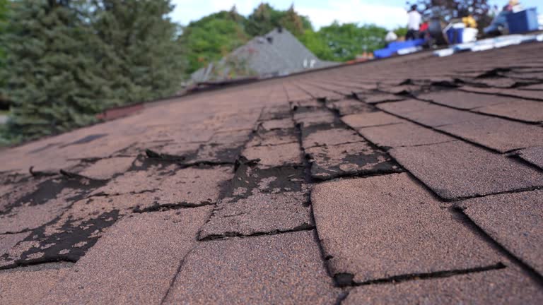 Best Asphalt Shingles Roofing  in Rocky River, OH